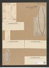 Surirella turgida W. Sm. (de-Toni-Nr.: Genus 53, Species 2237) Zeichnungen Sammlung Grunow Nr. 4664 (NHMW-BOT-W0372730)